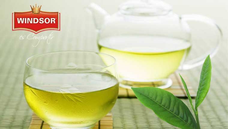Infusiones